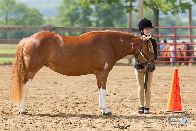 4H-Fun-Show-11_0143.jpg