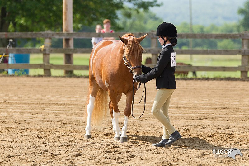 4H-Fun-Show-11_0144.jpg