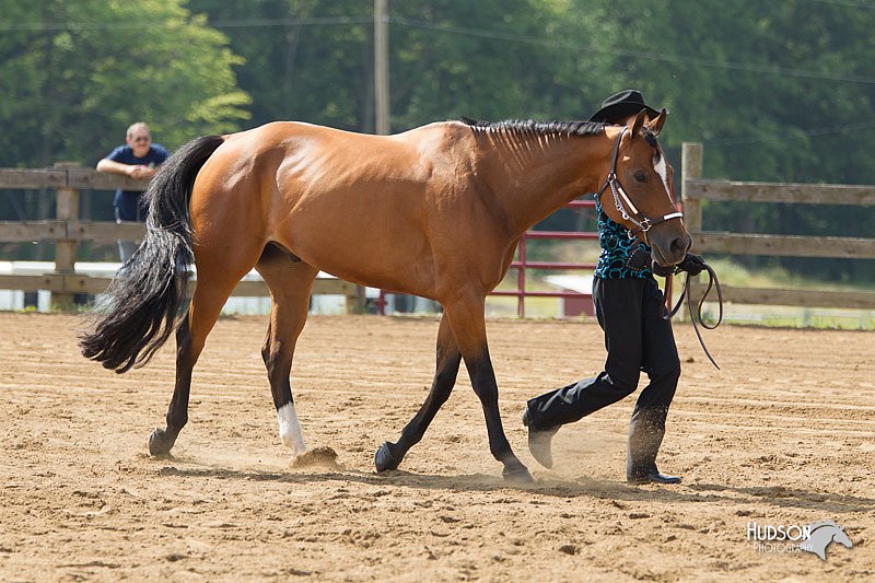 4H-Fun-Show-11_0146.jpg