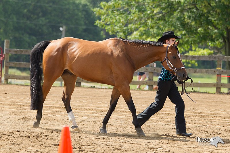 4H-Fun-Show-11_0147.jpg