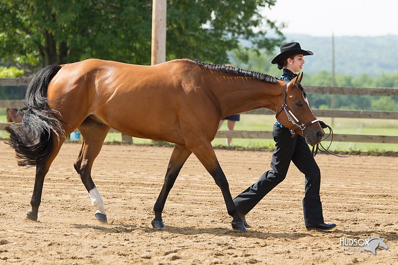4H-Fun-Show-11_0148.jpg