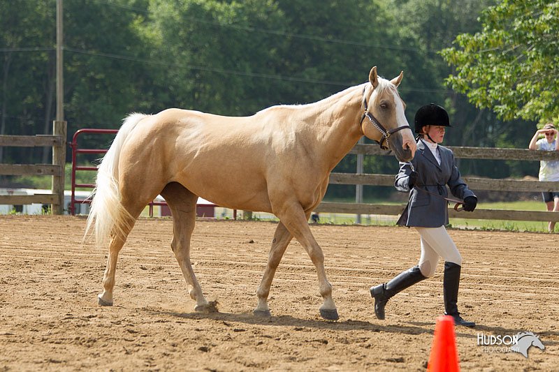 4H-Fun-Show-11_0152.jpg