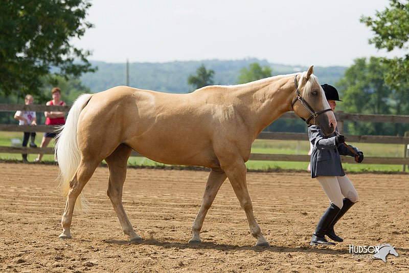 4H-Fun-Show-11_0153.jpg