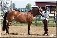 4H-Fun-Show-11_0005.jpg