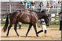 4H-Fun-Show-11_0032.jpg