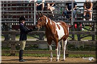 4H-Fun-Show-11_0035.jpg