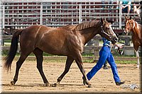 4H-Fun-Show-11_0036.jpg