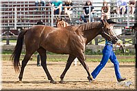 4H-Fun-Show-11_0037.jpg