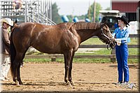 4H-Fun-Show-11_0039.jpg