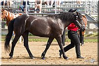 4H-Fun-Show-11_0045.jpg