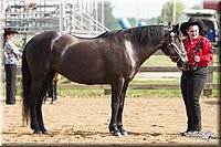 4H-Fun-Show-11_0046.jpg