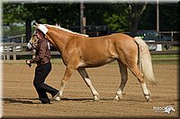 4H-Fun-Show-11_0047.jpg