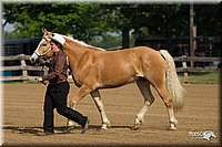 4H-Fun-Show-11_0048.jpg