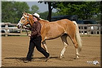 4H-Fun-Show-11_0049.jpg