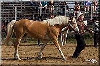 4H-Fun-Show-11_0051.jpg