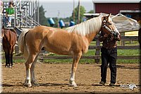 4H-Fun-Show-11_0052.jpg