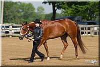 4H-Fun-Show-11_0054.jpg