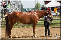 4H-Fun-Show-11_0057.jpg