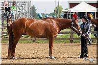 4H-Fun-Show-11_0058.jpg