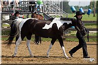 4H-Fun-Show-11_0064.jpg