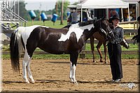 4H-Fun-Show-11_0065.jpg