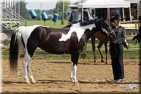 4H-Fun-Show-11_0066.jpg