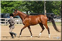 4H-Fun-Show-11_0068.jpg