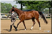 4H-Fun-Show-11_0069.jpg