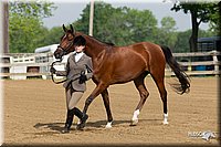 4H-Fun-Show-11_0070.jpg