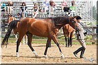 4H-Fun-Show-11_0072.jpg
