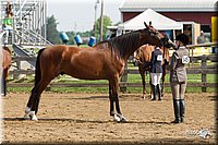 4H-Fun-Show-11_0073.jpg