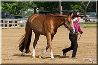4H-Fun-Show-11_0075.jpg