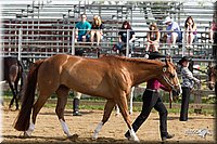 4H-Fun-Show-11_0077.jpg