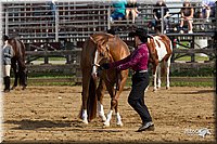 4H-Fun-Show-11_0079.jpg