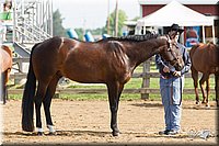 4H-Fun-Show-11_0083.jpg