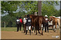4H-Fun-Show-11_0084.jpg