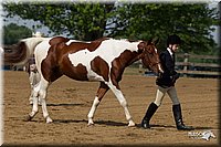 4H-Fun-Show-11_0086.jpg