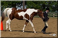 4H-Fun-Show-11_0088.jpg