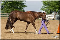 4H-Fun-Show-11_0090.jpg