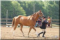 4H-Fun-Show-11_0092.jpg