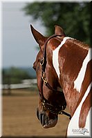 4H-Fun-Show-11_0093.jpg