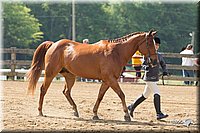 4H-Fun-Show-11_0104.jpg