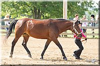 4H-Fun-Show-11_0115.jpg