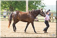 4H-Fun-Show-11_0126.jpg