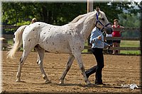 4H-Fun-Show-11_0130.jpg