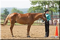 4H-Fun-Show-11_0135.jpg