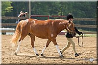 4H-Fun-Show-11_0140.jpg