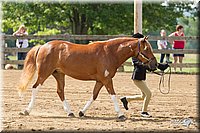 4H-Fun-Show-11_0141.jpg