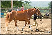4H-Fun-Show-11_0142.jpg