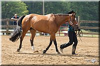 4H-Fun-Show-11_0146.jpg